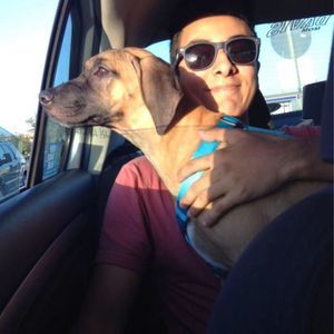 Meet your Posher, Olaf